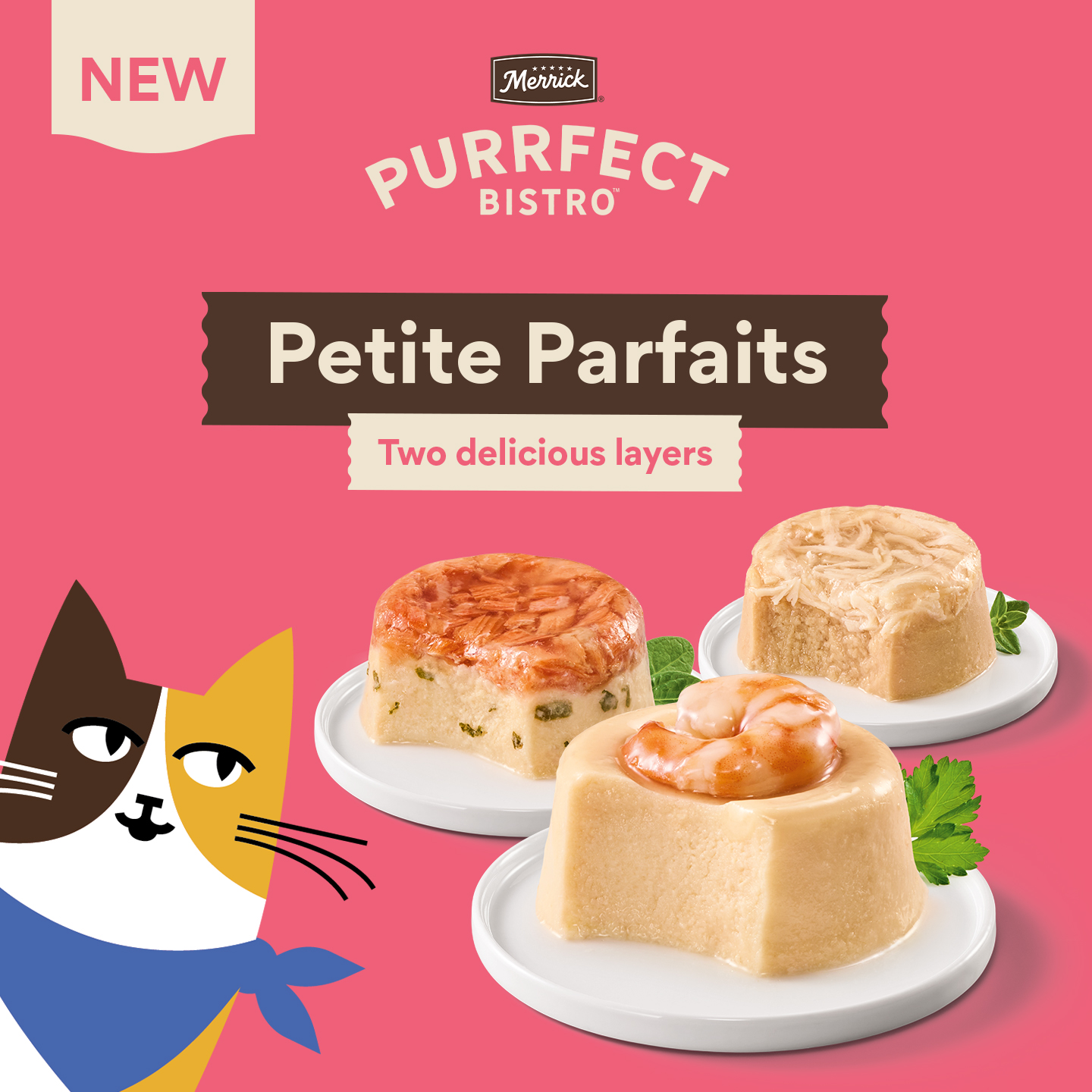 Purrfection for Every Cat