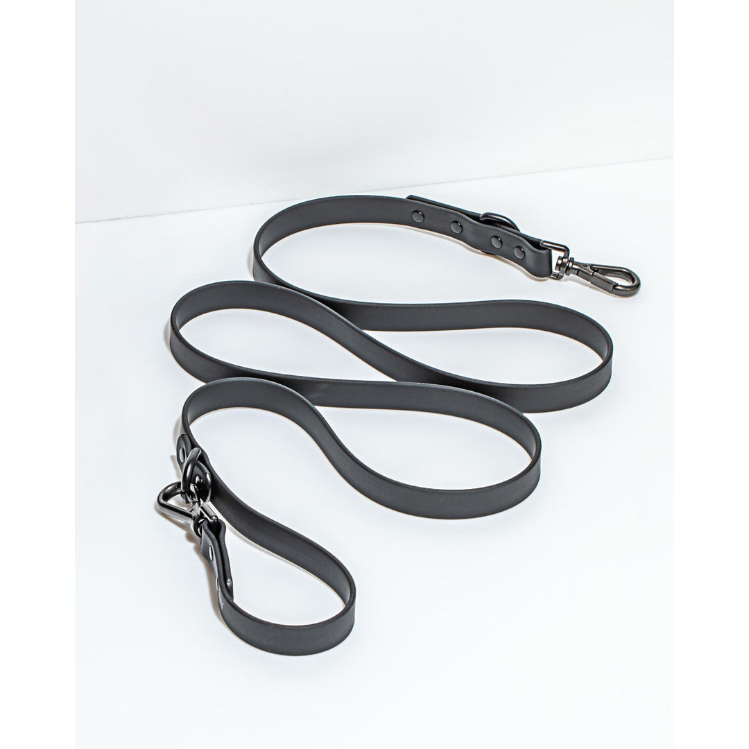 Cushioned Dog Harness