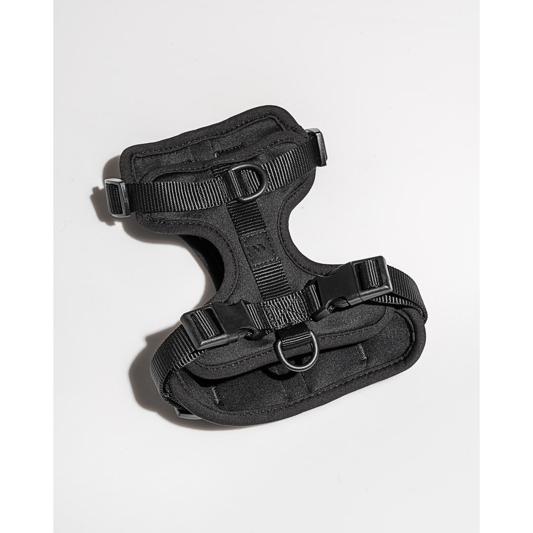 Cushioned Dog Harness