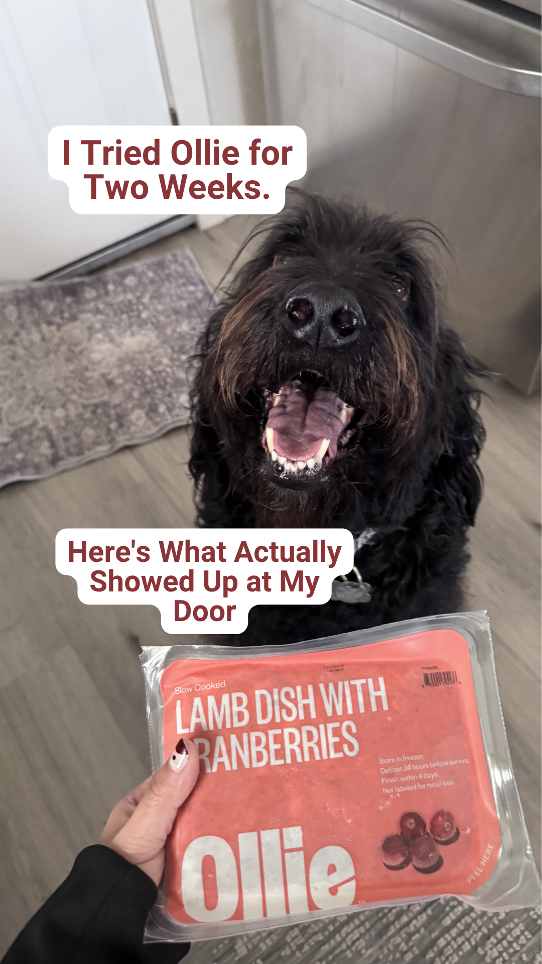 The Quality Edit Ad