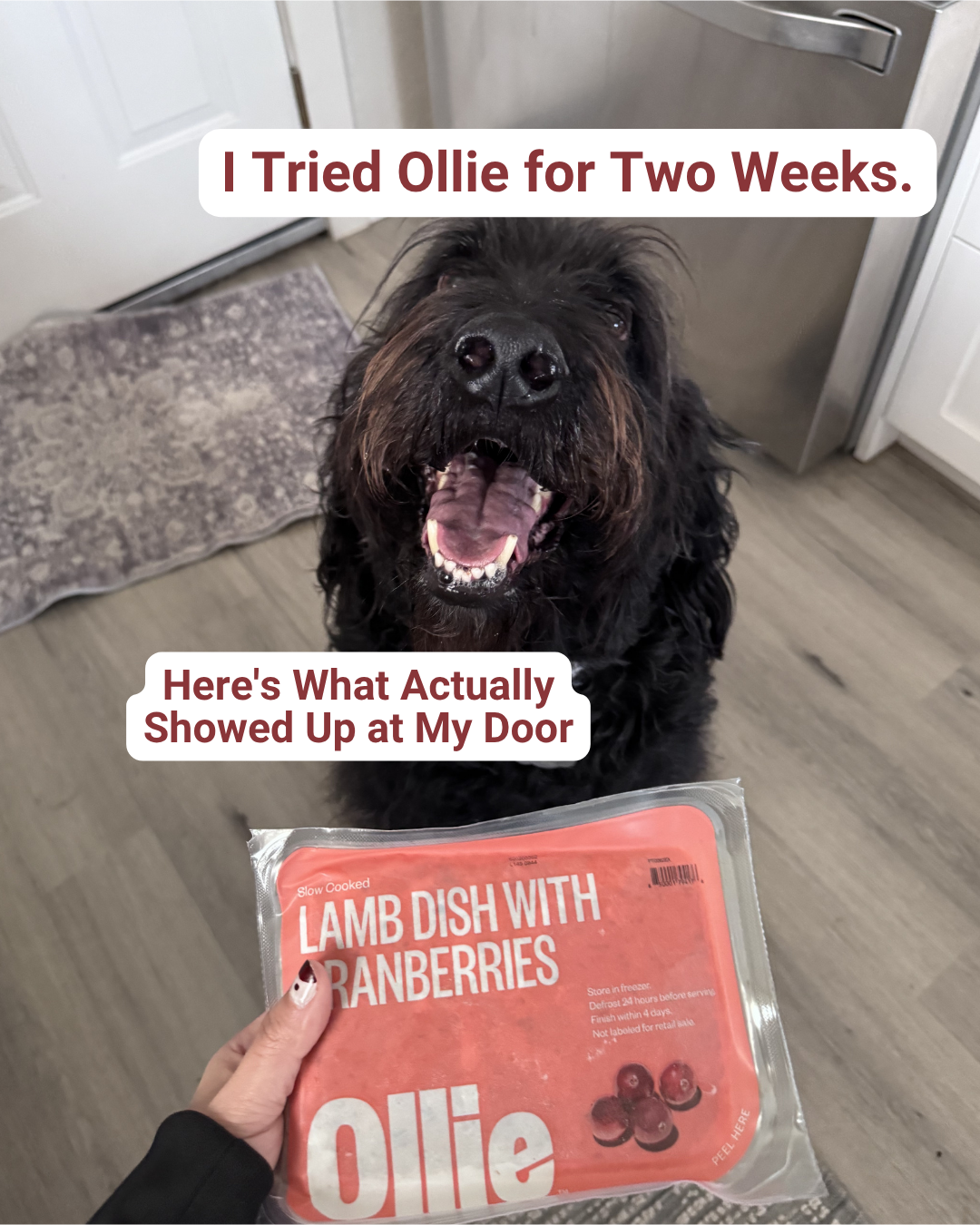 The Quality Edit Ad