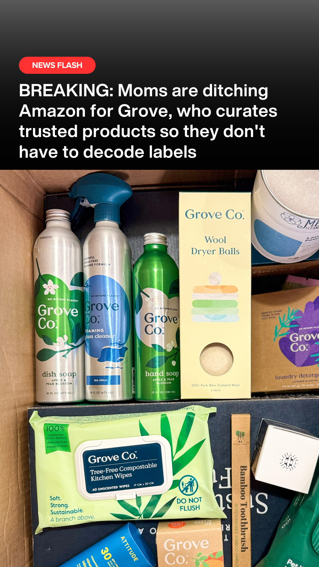 Curated Clean Living Essentials