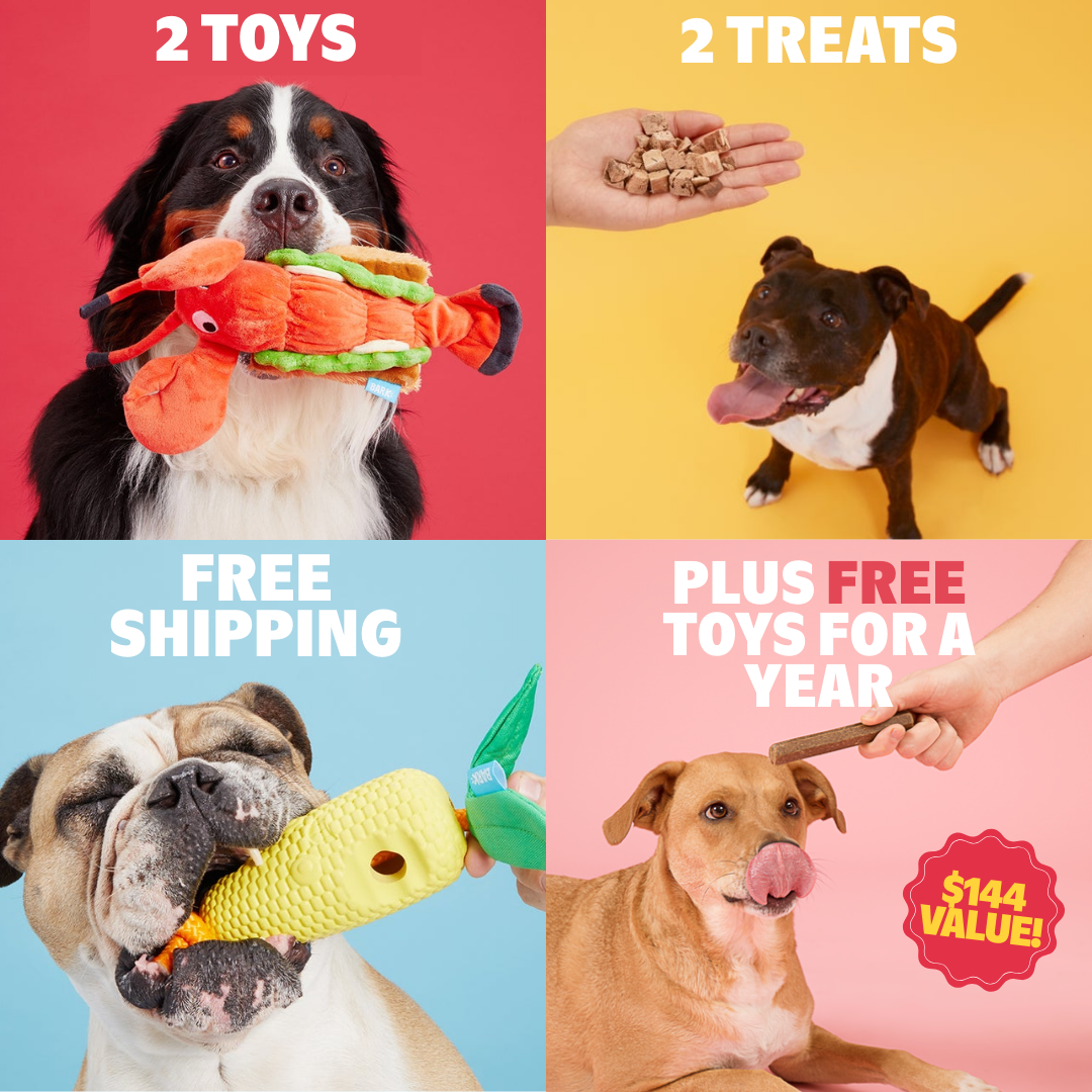 Free Toys For A Year