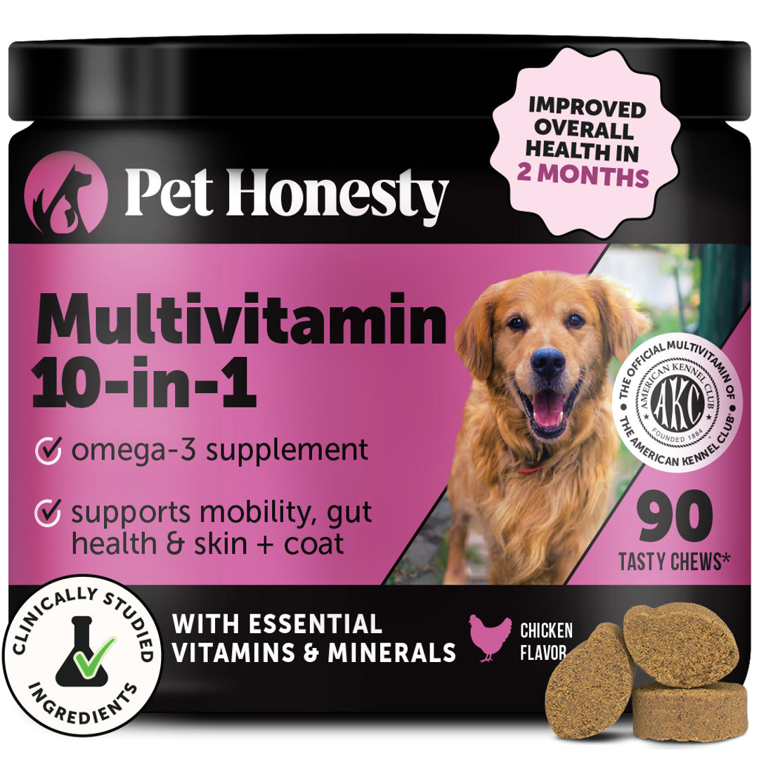 Gut + Immune Health Digestive Probiotic Chews for Dogs (Duck Flavor)